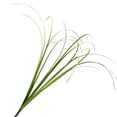 thumbnail image 1 of Plantas artificiales de hierba de cebolla hierba de hojas largas resistente a los rayos UV para interiores y exteriores, 1 of 7