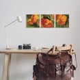 thumbnail image 2 of Stupell Wild Poppy Blooms Flower Garden Botanical & Floral Painting Wall Plaque Unframed Art Print Wall Art, Set of 3, 2 of 7
