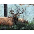 thumbnail image 3 of Daniel, Kevin 24x19 Black Modern Framed Museum Art Print Titled - Elk Foraging, 3 of 5
