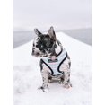 thumbnail image 4 of Frenchiestore Reversible Dog Health Harness | Pink StarPup, 4 of 12