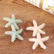 thumbnail image 4 of 2 pinzas para el pelo sencillas con forma de estrella de mar, horquillas de moda para fiestas, accesorios para el cabello (blanco y verde claro), 4 of 5