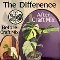 thumbnail image 4 of Craft Aroid Potting Mix- Elite Organic Alocasia, Philodendron, Monstera Soil Mix, Chunky, Well Draining Potting Soil for Indoor Plants, All Tropical Plants & Houseplants, Perlite & Peat Free 2QT, 4 of 4
