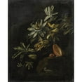 thumbnail image 2 of Elias van den Broeck 12x14 Black Ornate Wood Framed Double Matted Museum Art Print Titled: Still Life with Passionflowers (1670 - 1708), 2 of 5