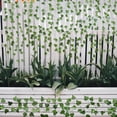 thumbnail image 5 of Pakyozj Fake Vines for Room Decor Aesthetic Artificial Plant Ivy Leaves Hanging Greenery Garlands for Home Bedroom Wall Wedding Party Decor (168FT 24PCS Vines), 5 of 6