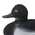 thumbnail image 4 of Señuelo Zulema Pato Espantapájaros Jardinería, 4 of 8