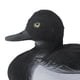 thumbnail image 4 of Señuelo Zulema Pato Espantapájaros Jardinería, 4 of 8