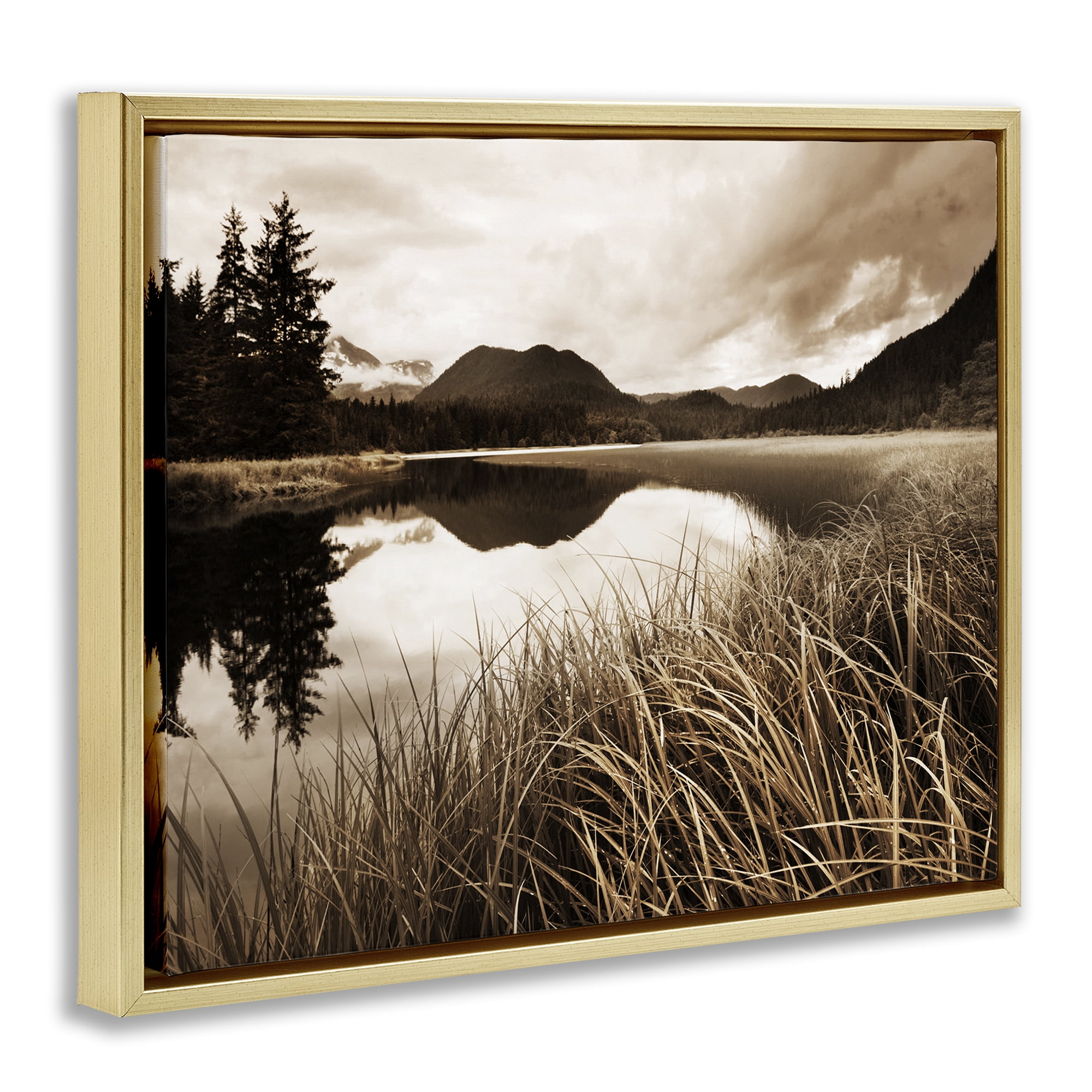 Stupell Industries Sepia Lake Reflection Landscape Photography Gold Floater Framed Art Print Wall Art, 31 x 25