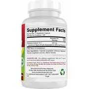 Best Naturals Elderberry Sambucus Nigra 5000mg Equivalent 120 Vegetarian Capsules