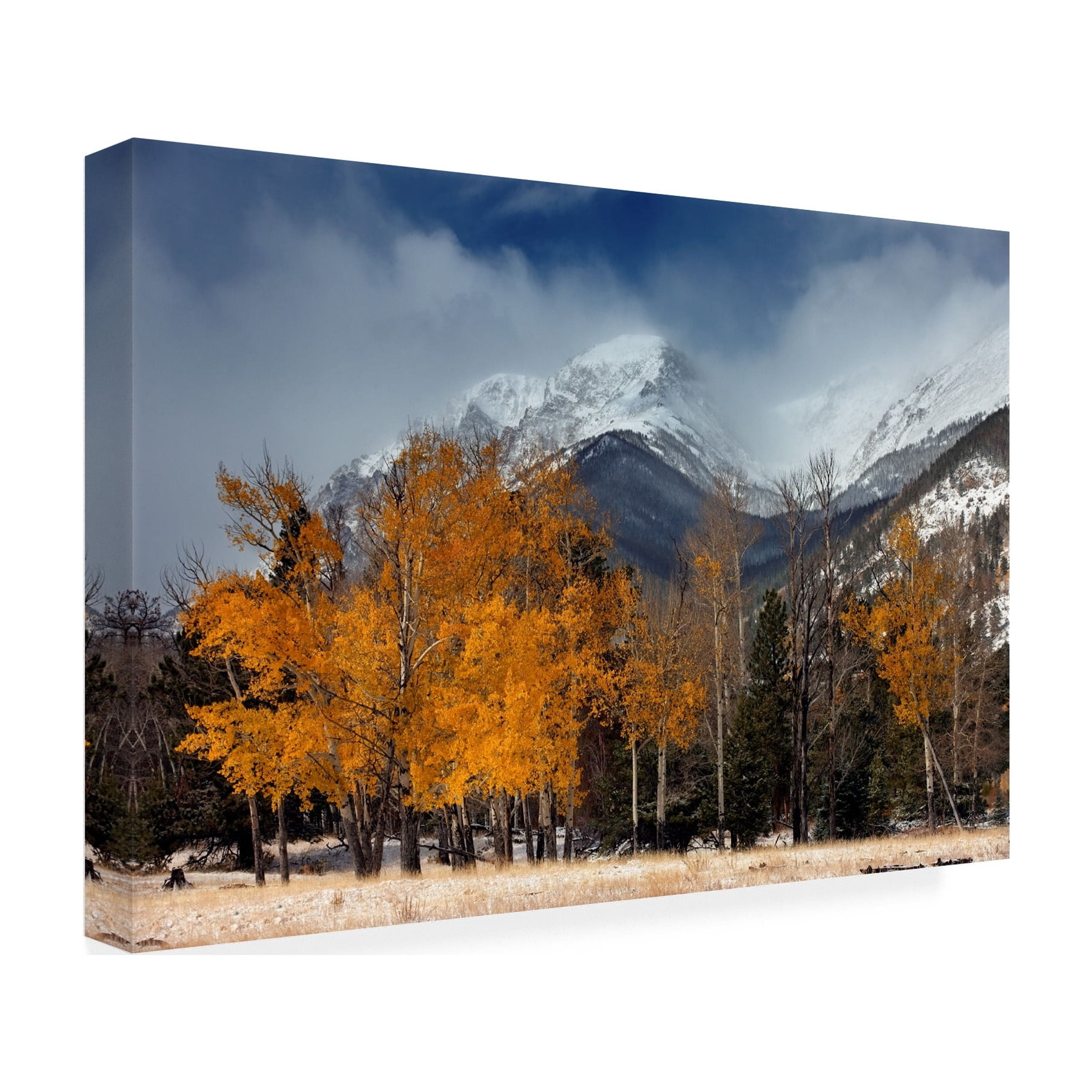 Trademark Fine Art 'RMNP Aspens and Storm Clouds' Canvas Art by Mike Jones Photo