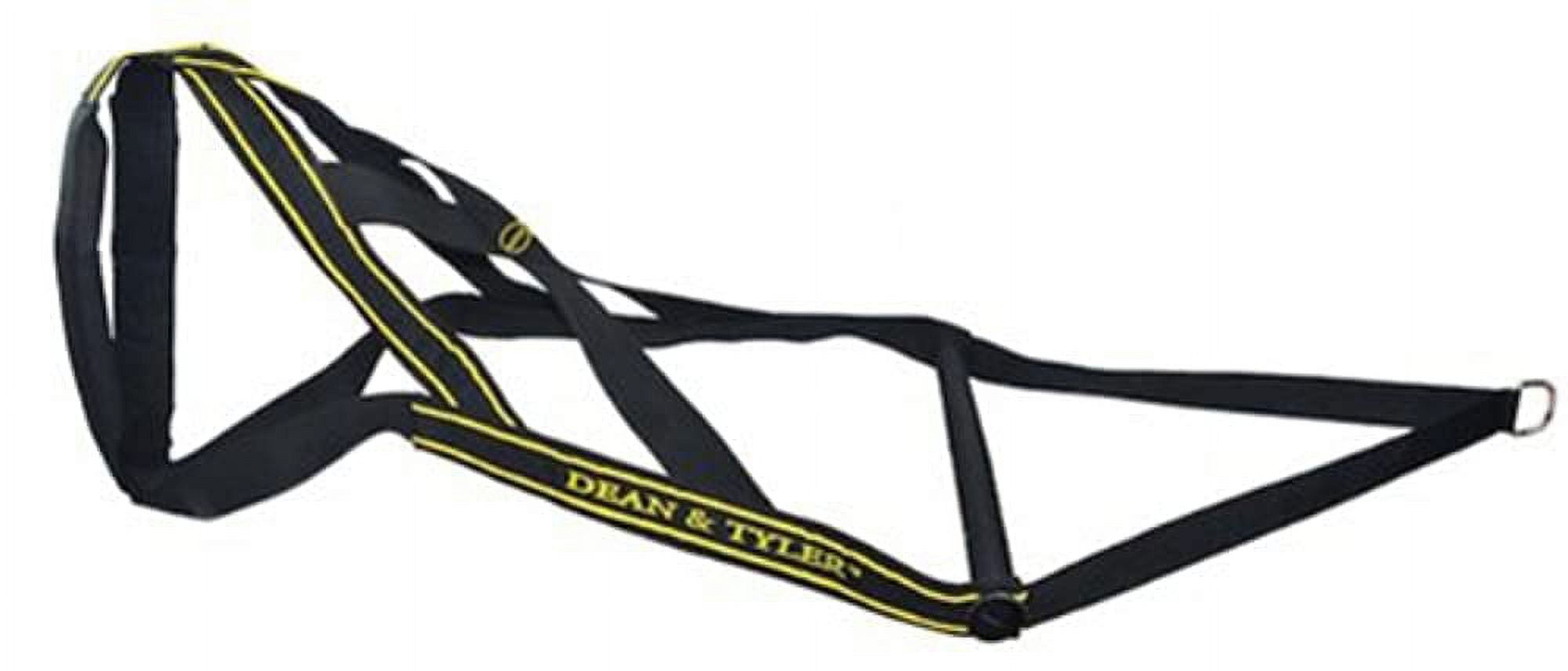 Dean & Tyler Professional Pulling Dog Harness DT Pro Pull Large