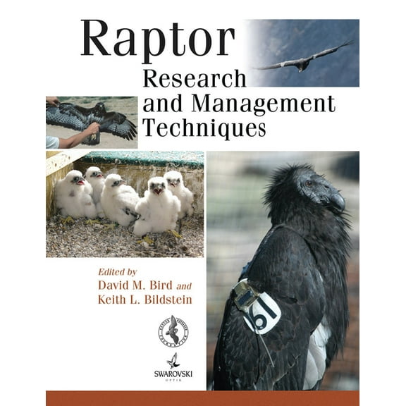 Raptor Research and Management Techniques (Paperback)