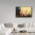 thumbnail image 3 of Trademark Fine Art 'Summer Nights 2' Canvas Art by Incredi, 3 of 3