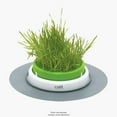 thumbnail image 2 of Catit Senses 2.0 Cat Grass Refill (Seeds Only), 2 of 5