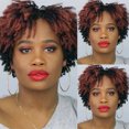 thumbnail image 2 of Wig Afro Brown Blonde Small Curly Synthetic Hair Headpiece Synthetic Wig, 2 of 5