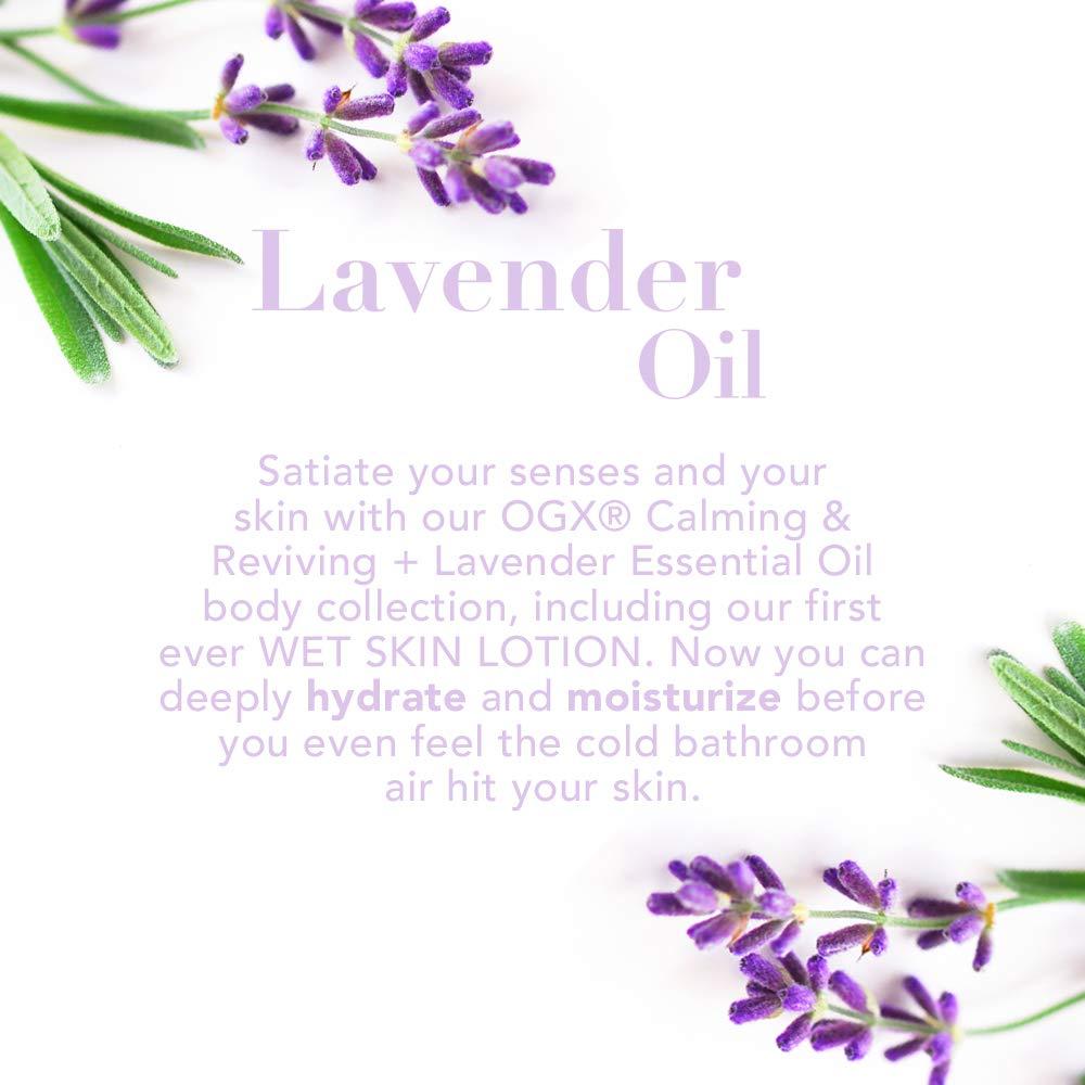 OGX, Calming & Reviving + Lavender Essential Oil Body Wash 19.5 oz ...