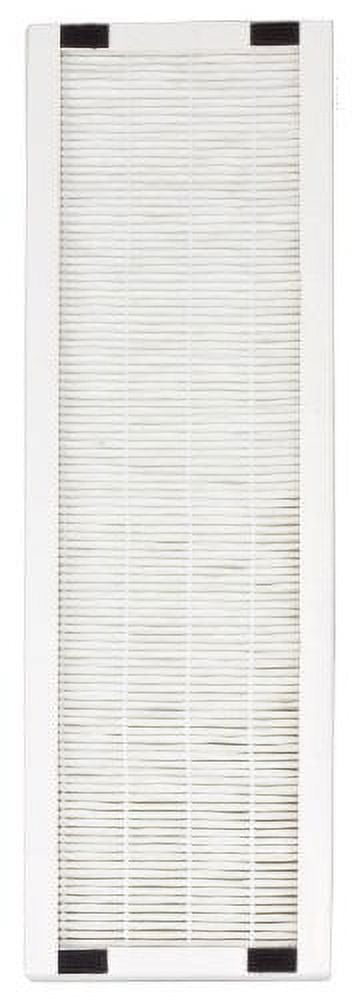 Replacement HEPA Filter for AC-2062G (pack of 2)
