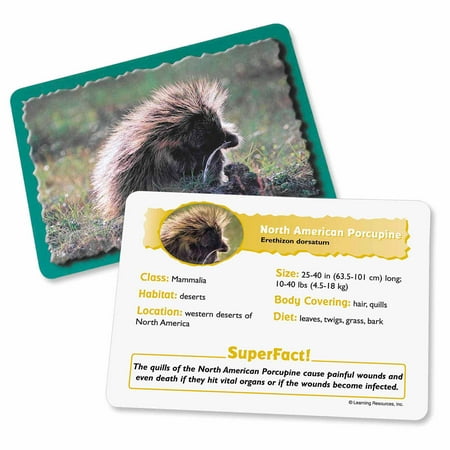 Learning Resources Classifying Cards Bundle