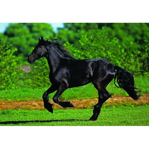 Anatolian Puzzle 500 Piece - Friesian Galloping