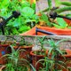 thumbnail image 5 of 100 Uds 8 boquillas gotero de riego 1/4 pulgadas 360 grados aspersor de goteo de jardín ajustable negro, 5 of 6