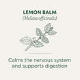 thumbnail image 4 of Traditional Medicinals Organic Lemon Balm Herbal NSD3&nbsp;Tea, Calming and Supports Digestion, (Pack of 1) - 16 Tea Bags, 4 of 5