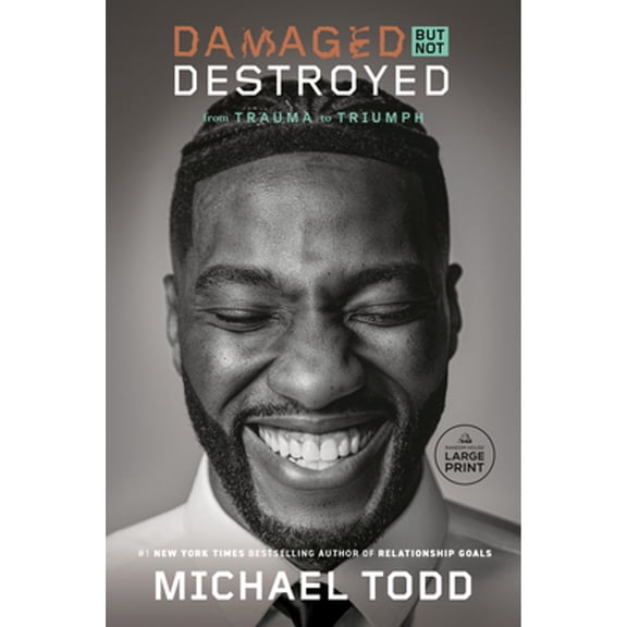 Pre-Owned Damaged But Not Destroyed: From Trauma to Triumph, (Paperback)
