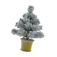 thumbnail image 4 of Decoración navideña de escritorio BLESIY árbol de Navidad en miniatura 45cm PETG, 4 of 8