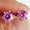 Pink, variant on Pink 1 Carat 6.5Mm Round Hundred Face Cut Moissanite Earrings Sterling Silver S925 Over-Test Drill With Gra Certificate