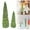 A, variant on Desktop Ornament,Christmas Tree Table Decor Set Of 2 Resin Christmas Tree Figurines 9.5"/6.5" For Christmas Tabletop Decor Indoor Winter Mantelpiece Decorations