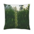thumbnail image 1 of Ahgly Company Plants Grass Outdoor Throw Pillow, 18 inch by 18 inch, 1 of 5