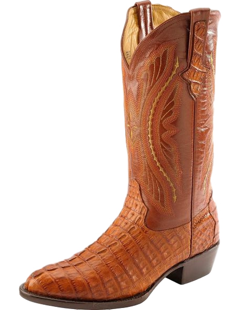 ferrini caiman boots