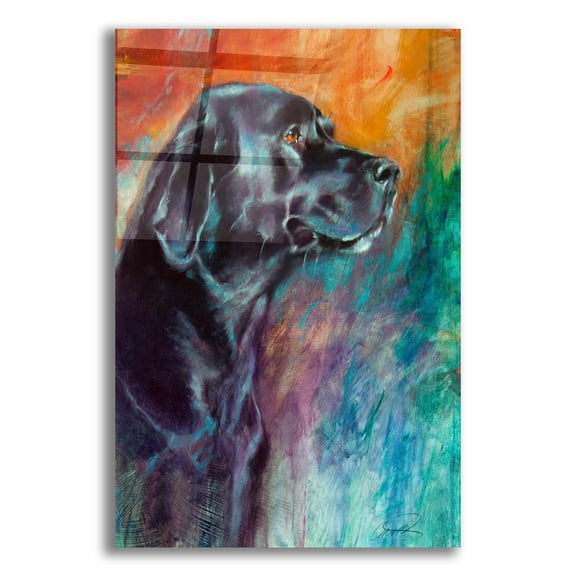 Epic Art 'Rainbow Retriever' by Robert Campbell, Acrylic Glass Wall Art, 16"x24"