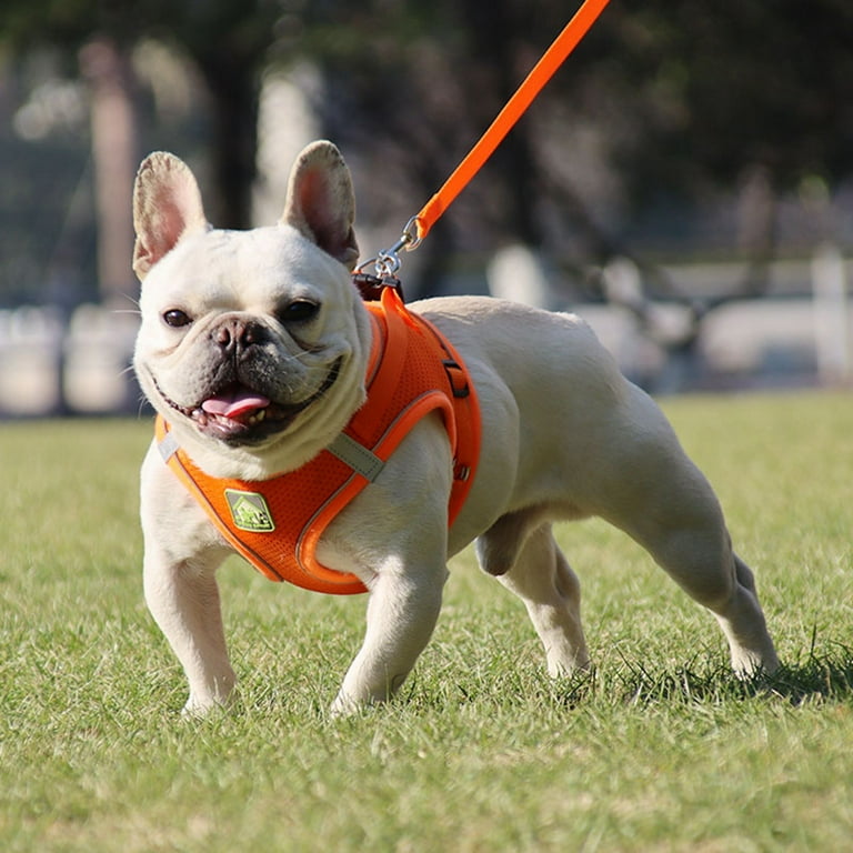 MIDOG No-Pull Dog Harness & Leash Set - Step-in Reflective Vest For Small To Large Dogs (Pink)