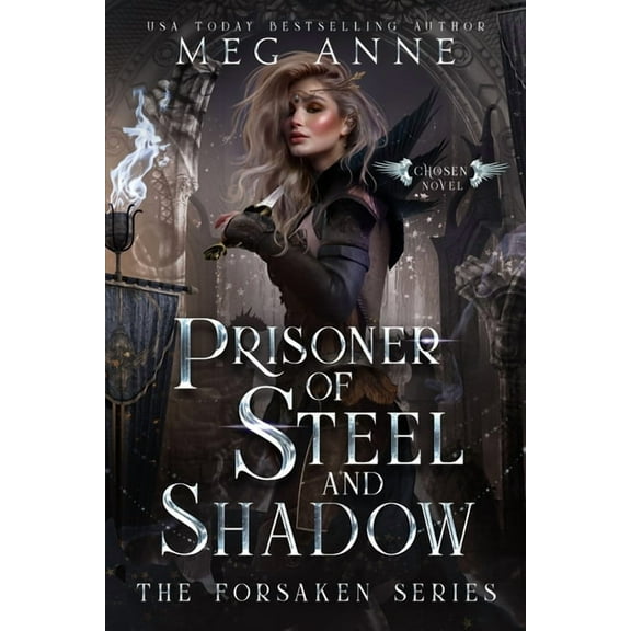 Prisoner of Steel and Shadow, (Paperback)