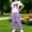 Purple, variant on SGFCWSX Girls 2 Piece Outfit Sequin Bow Print Short Sleeve Top and Elastic Waist Cargo Wide Leg Pants Casual Summer Set Blue Size 10
