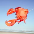 thumbnail image 3 of In the Breeze 5248 — 40-inch Realistic Crab 3D Windsock — Realistic Sea Life Windsock for Homes, Gardens, Restaurants, 3 of 6