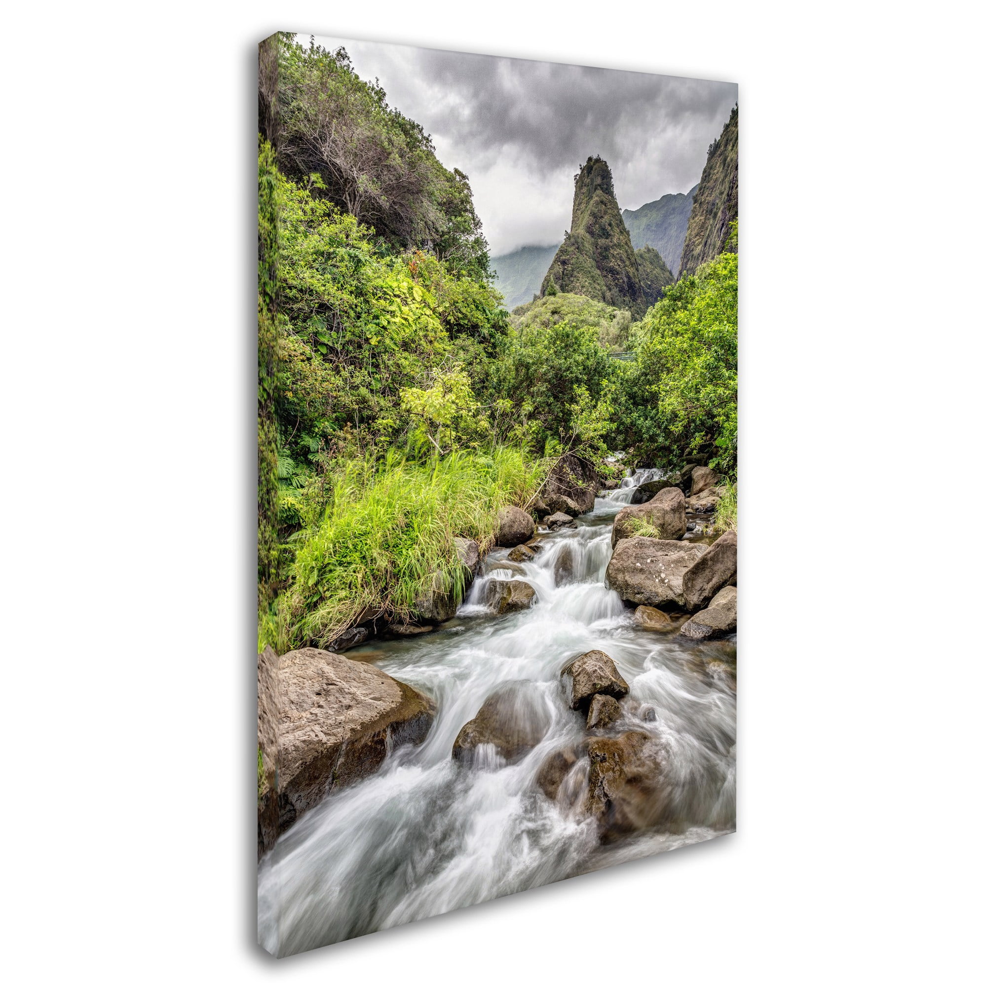 Trademark Fine Art 'Iao Valley Maui' Canvas Art by Pierre Leclerc