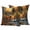 Orange, variant on Leopard Pumpkin Fall Outdoor Pillow Covers 18"x18" Set of 2,Waterproof Throw Pillow Covers for Patio Furniture,Thanksgiving Orange Buffalo Check Decorative Cushion Pillowcases for Garden Couch Sofa