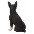 thumbnail image 4 of Boston Terrier, 4 of 8