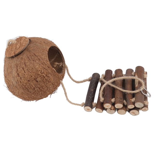 Nido de coco Bling Bling Casa de coco natural