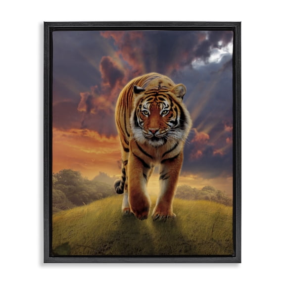 Stupell Industries Contemporary Rising Tiger Sunset Black Floating Frame Canvas Art, 17 x 21, by Vincent Hie