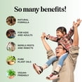 thumbnail image 2 of Natural Bug Repellent Spray for Body - DEET Free Kids & Adults Ticks Mosquitoes Insects Made with Citronella Rosemary Lemongrass Light Scent Vegan Cruelty (8 Fl Oz), 2 of 3