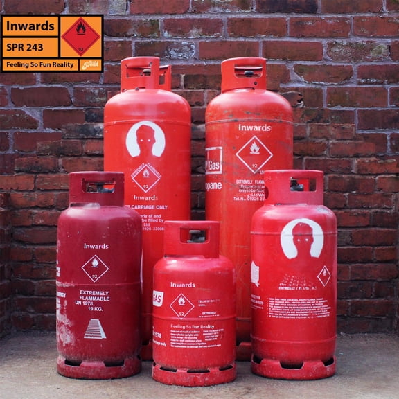 Inwards - Feeling So Fun Reality - Music & Performance - Vinyl