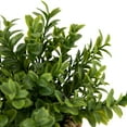 thumbnail image 7 of Northlight Milan Leaf Artificial Mini Bush In Rattan Basket - 7", 7 of 7