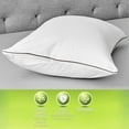 Allerease Spa Comfort Zippered Pillow Protector, Standard/Queen