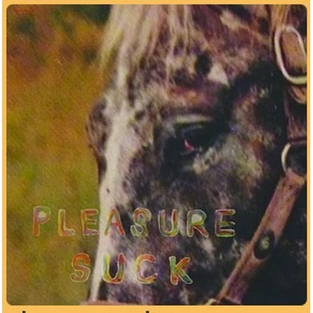 Spirit of the Beehive - Pleasure Suck - Music & Performance - Vinyl