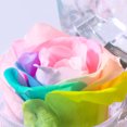 thumbnail image 3 of Enchante Preserved Forever Rose Acrylic Ring Box, Wedding Anniversary Birthday Valentine's Day Mother's Day Gift Eternity Flower, Rainbow, 3 of 4