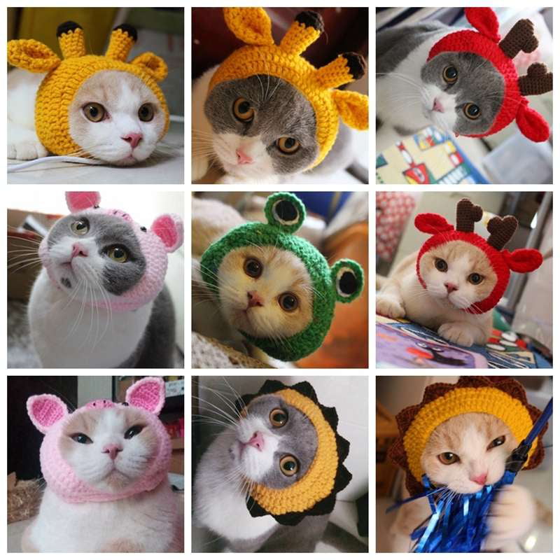 PULABO Adorable Pet Funny Hat Cartoon Frog Shape Pet Cap Weaving Puppy Cat Hat Pet Grooming Supplies for Everyday Decoration Christmas Halloween Decoration Use 1PCS and Practical Conv 