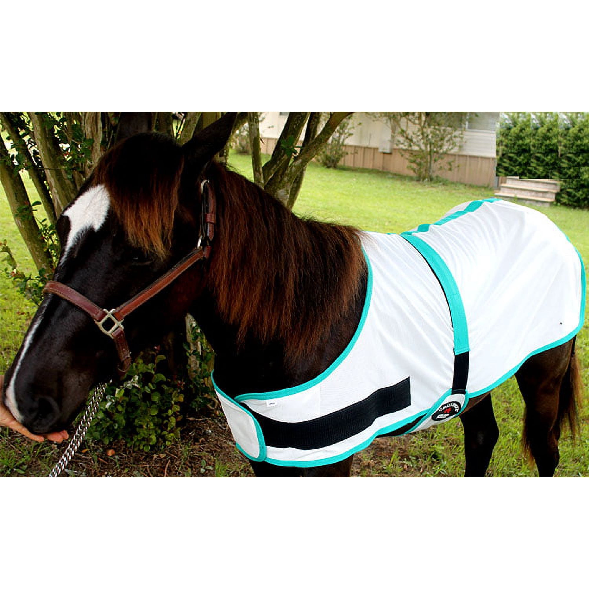 Large Miniature Weanling Donkey Pony Horse Foal Summer Sheet White 51803