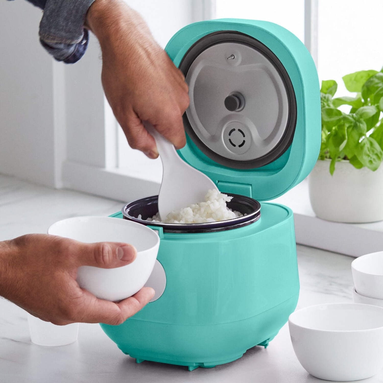 GreenLife 4 Cups Cooked, 2 Cups Uncooked Rice Cooker, Turquoise