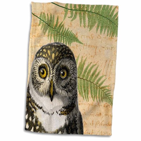 3dRose Vintage Owl and Ferns - Towel  15 by 22-inch (twl_296833_1)